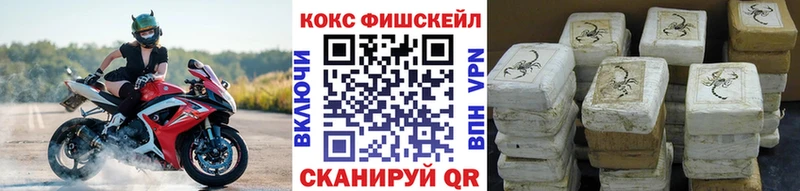 Cocaine FishScale  Купить  Гулькевичи 