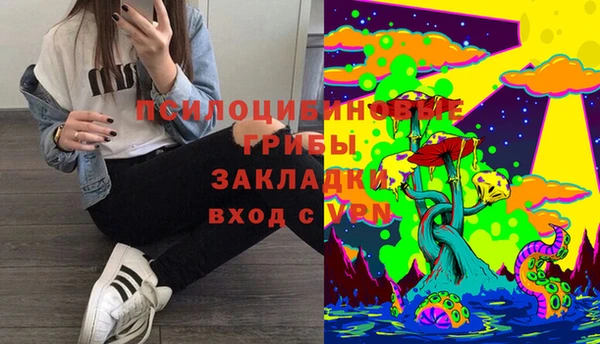 крисы Зерноград