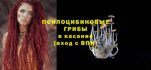 крисы Зерноград