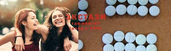 крисы Зерноград