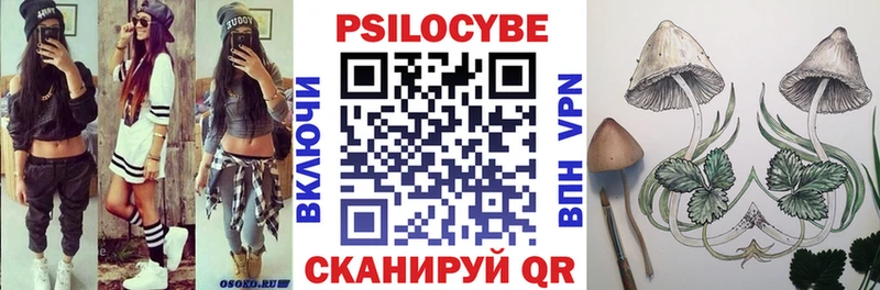 Купить где  Гулькевичи  Галлюциногенные грибы Cubensis 